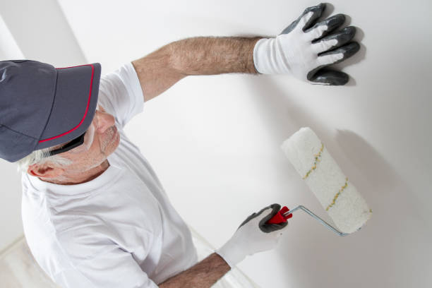  Woodlawn, OH Mold Removal Pros