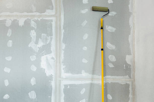 Best Water Damage & Mold Remediation  in Woodlawn, OH
