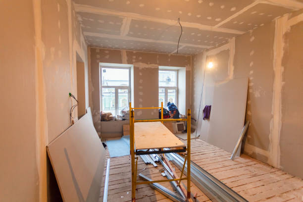 Trusted Woodlawn, OH Mold Removal Experts
